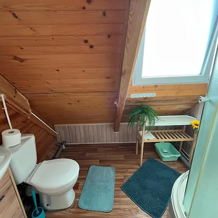 Mieszkanie Pod Debem Ii Holiday home
